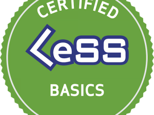 Certified LeSS Basics®