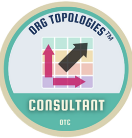 Org Topologies Consultant TM